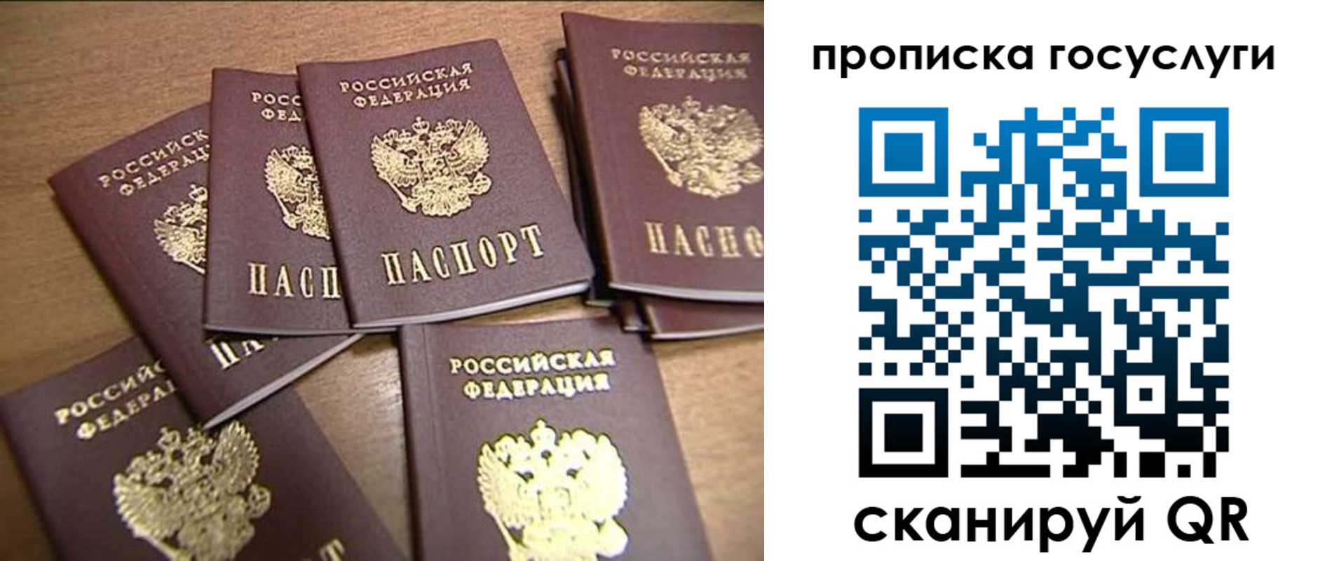 прописка для работы в Нововоронеже